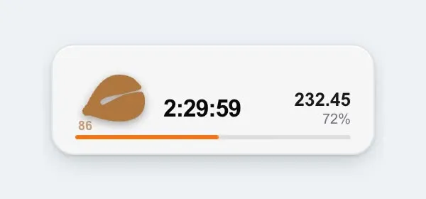 The mini timer on the desktop